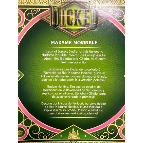 Mattel Wicked Movie Madame Morrible  Doll URL MISPRINT ERROR BOX  Collectors Dol - Picture 5 of 7